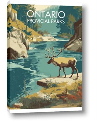 Picture of True North Trails