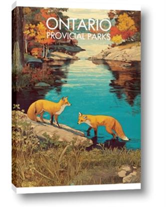 Picture of Wild Ontario