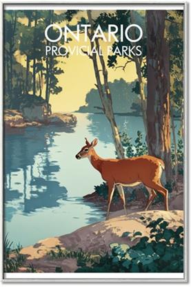 Picture of Reflections of the Wild