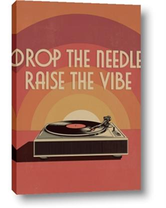 Picture of Drop the Needle, Raise the Vibe