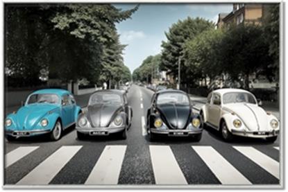 Picture of The Beetles